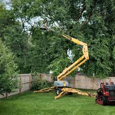 Best Lawn Maintenance Plans  in Hamilton Square, NJ